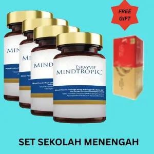 SET SEKOLAH MENENGAH